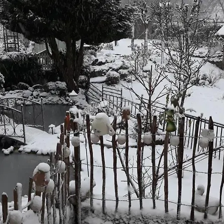 Gesamte In Mit Grill Und Garten *